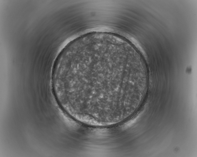 X0000091510845200709141353