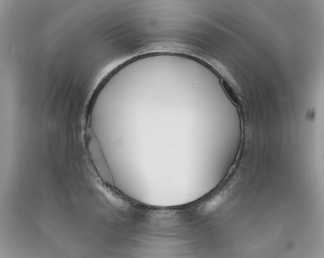 X0000091510846200709141353