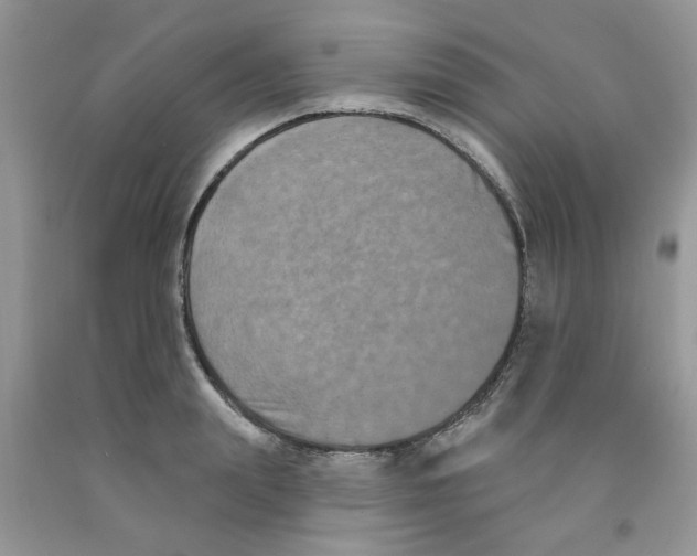 X0000091510847200709141353