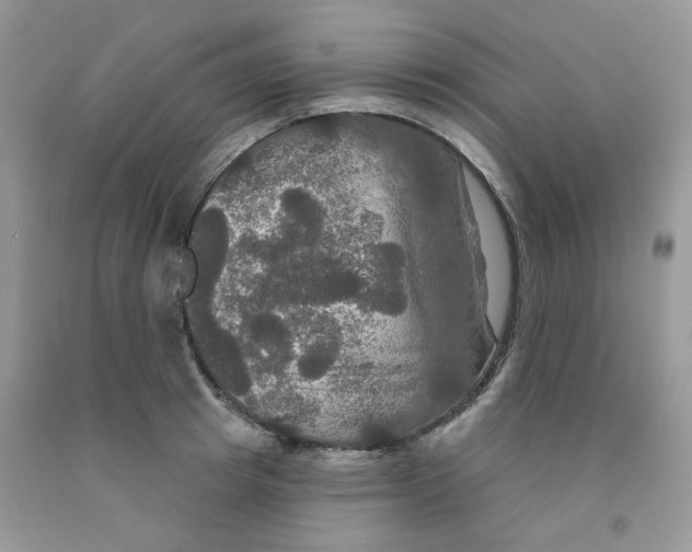 X0000091510849200709141353