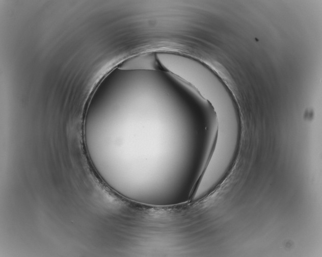 X0000091510850200709141353