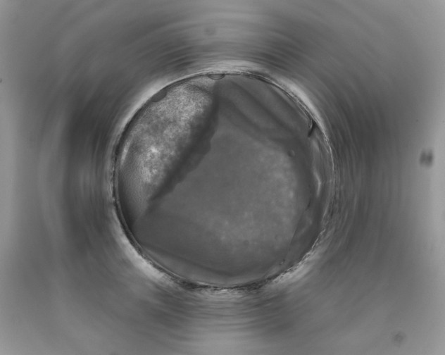 X0000091510851200709141353