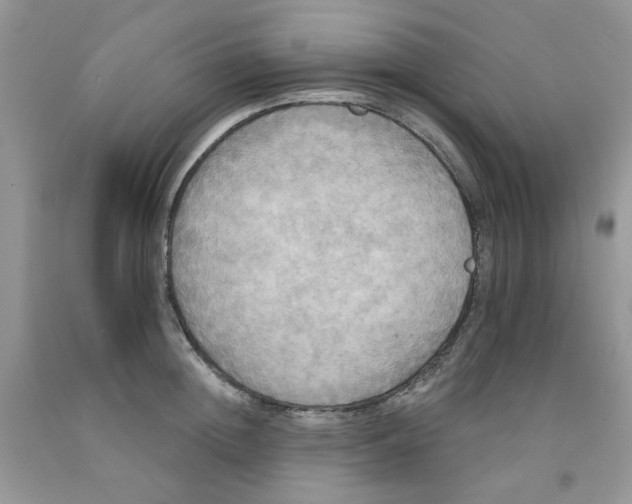 X0000091510852200709141353