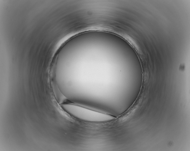 X0000091510854200709141353