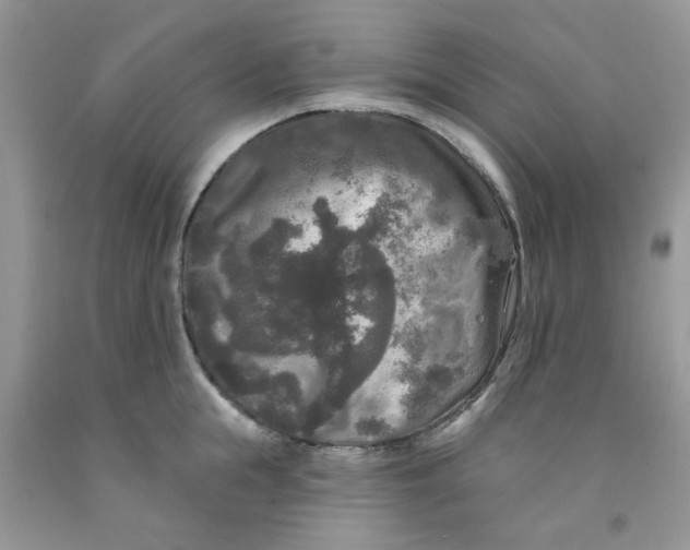 X0000091510855200709141353