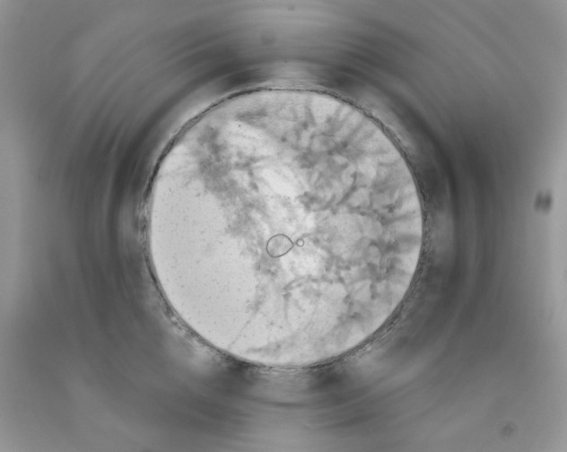 X0000091510856200709141353