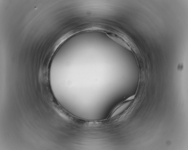 X0000091510858200709141353