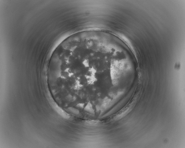 X0000091510859200709141353