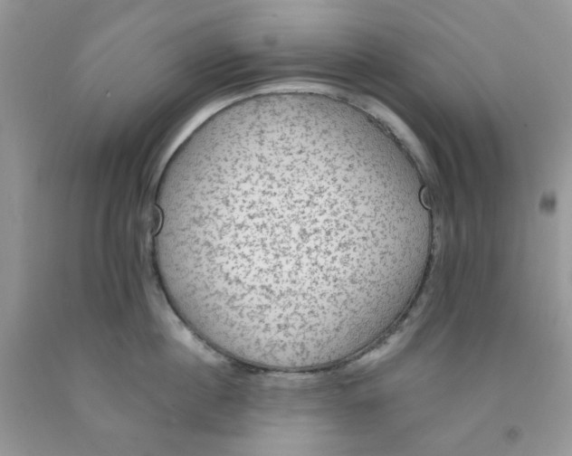 X0000091510860200709141353