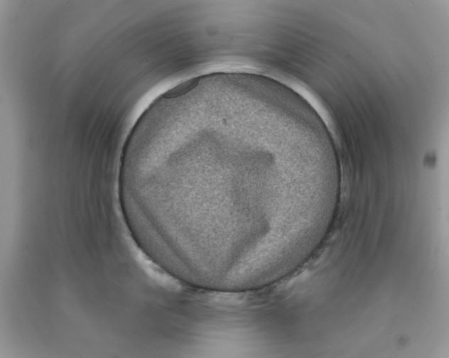 X0000091510861200709141353