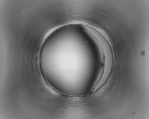 X0000091510862200709141353