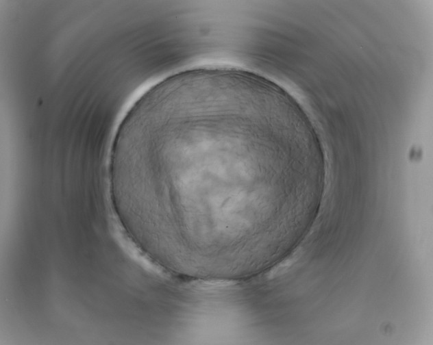 X0000091510864200709141353