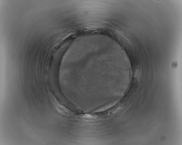 X0000091510868200709141353