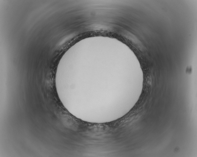 X0000091510869200709141353