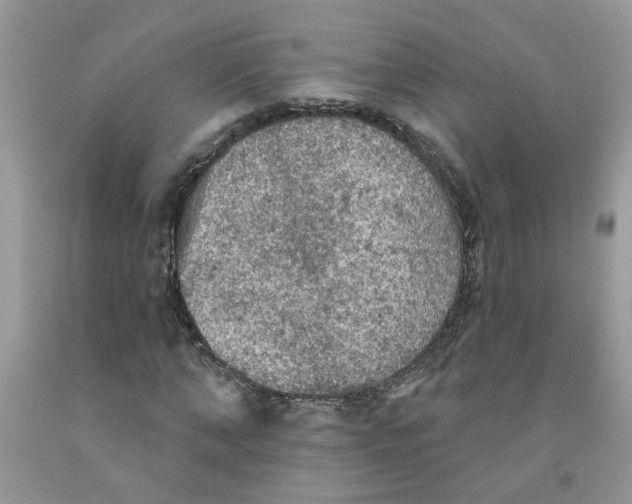 X0000091510870200709141353