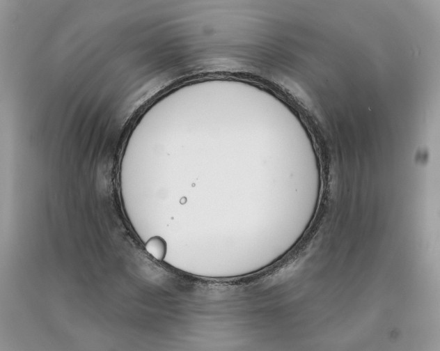 X0000091510873200709141353