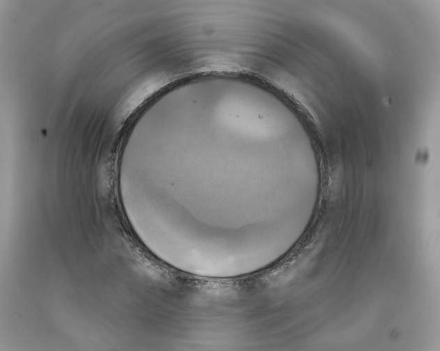 X0000091510874200709141353