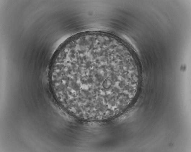 X0000091510875200709141353