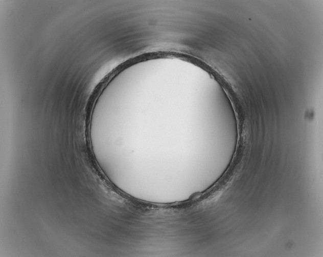 X0000091510877200709141353