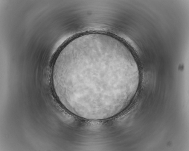 X0000091510878200709141353