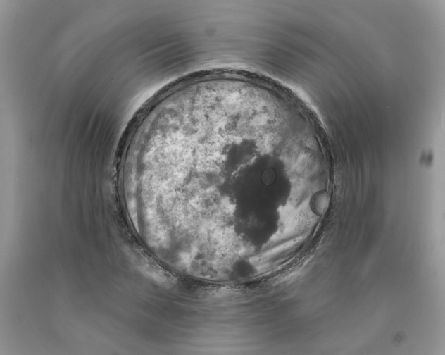 X0000091510879200709141353