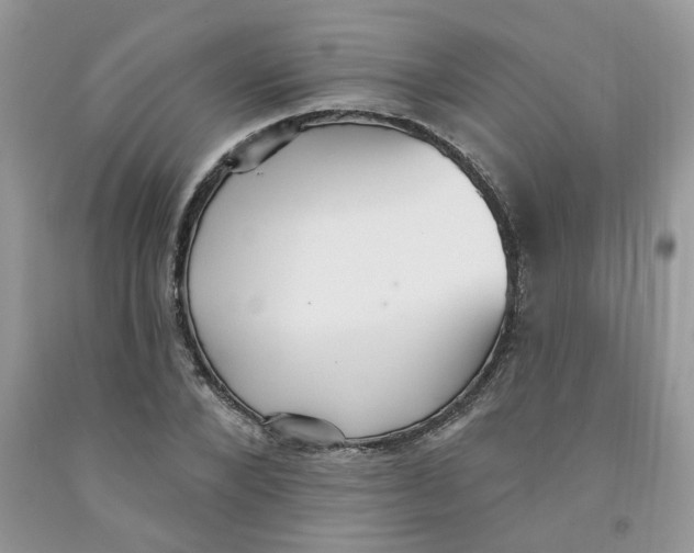 X0000091510880200709141353