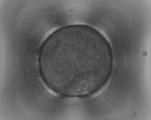 X0000091510881200709141353