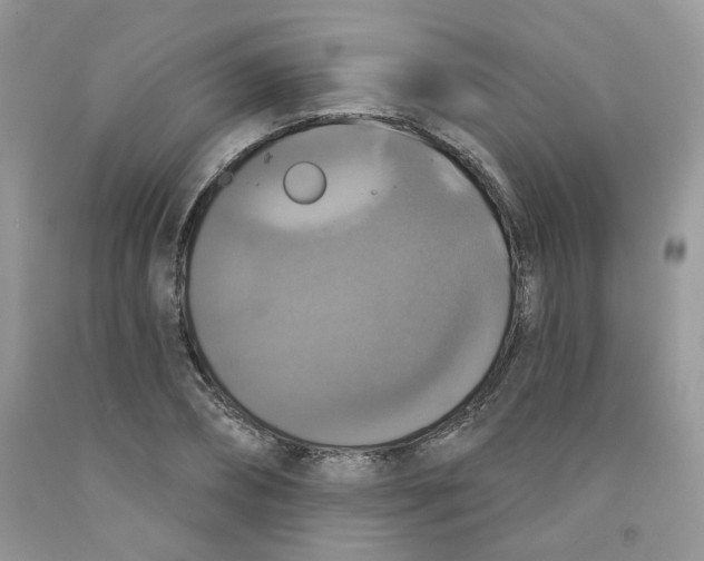 X0000091510882200709141353