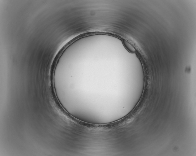 X0000091510884200709141353