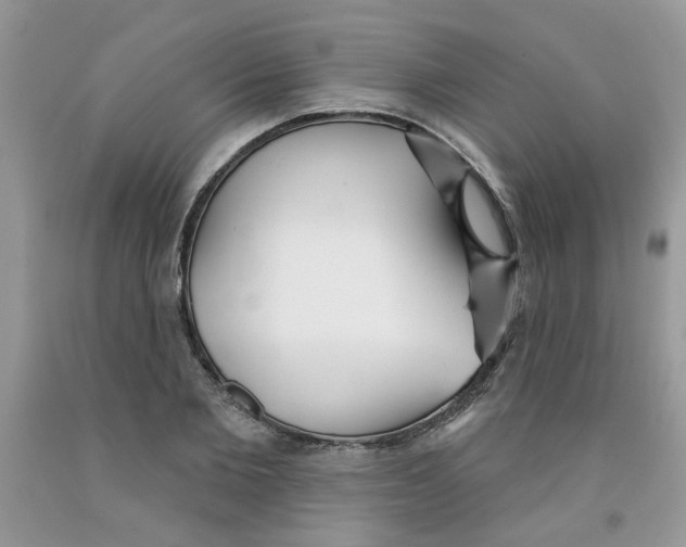 X0000091510885200709141353