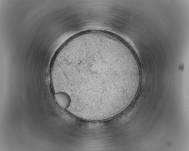 X0000091510887200709141353