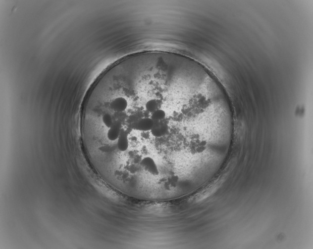 X0000091510891200709141353