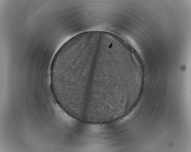 X0000091510892200709141353