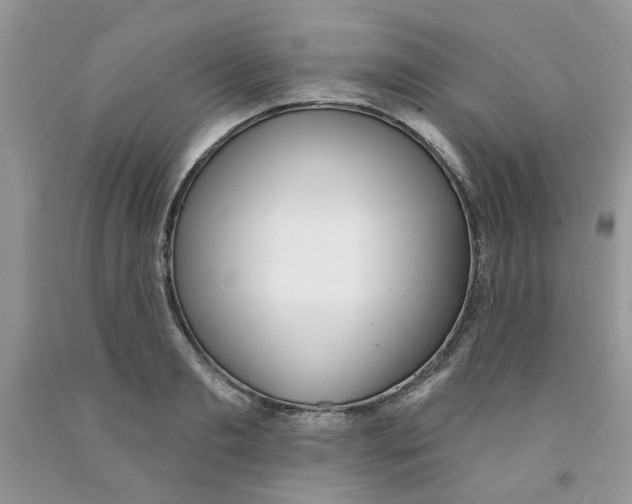 X0000091510893200709141352