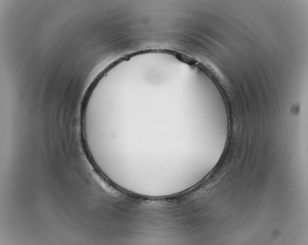 X0000091510894200709141352