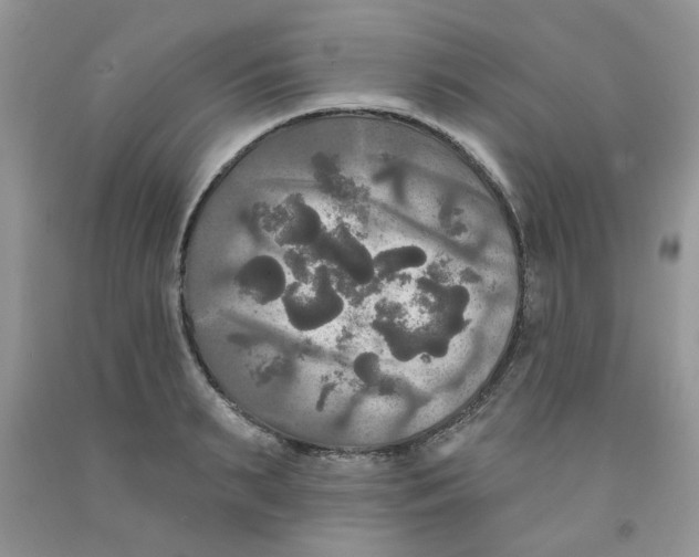 X0000091510895200709141352