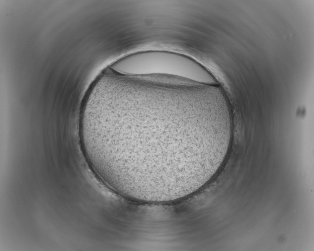 X0000091510896200709141352