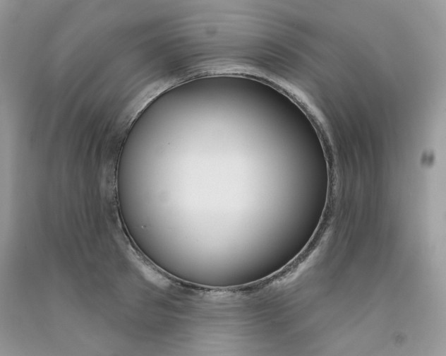 X0000091510897200709141352