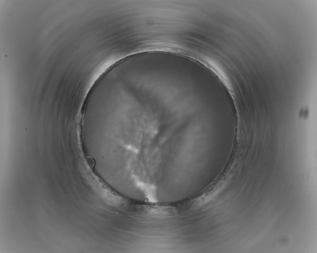 X0000091510899200709141352