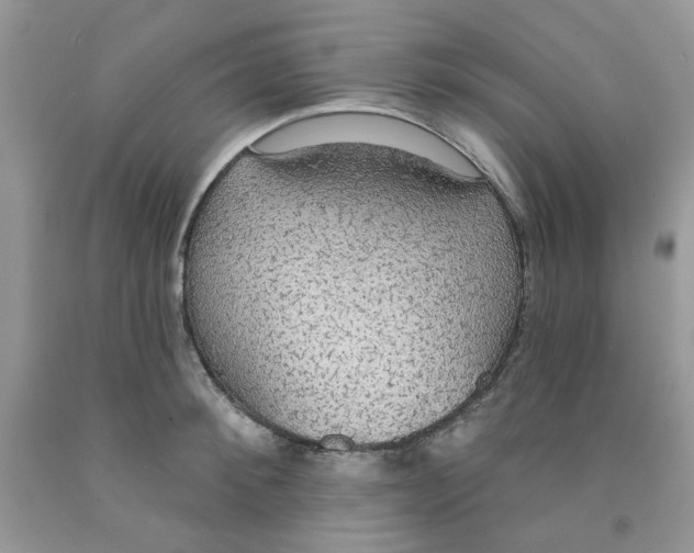 X0000091510900200709141352