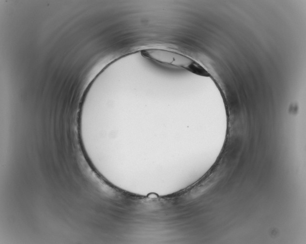 X0000091510906200709141352