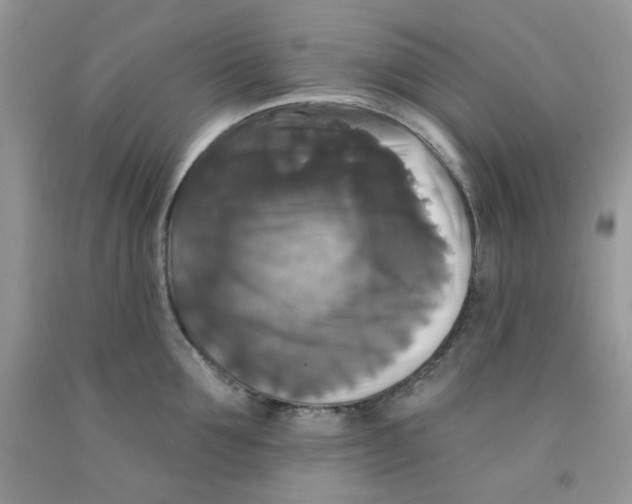 X0000091510907200709141352