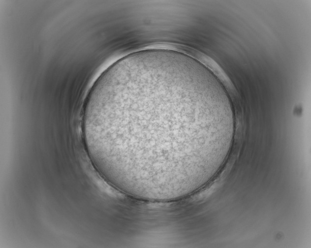 X0000091510908200709141352