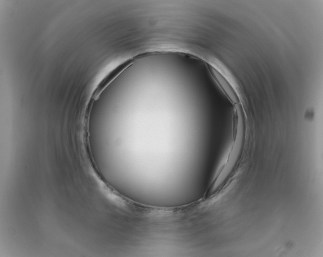 X0000091510909200709141352