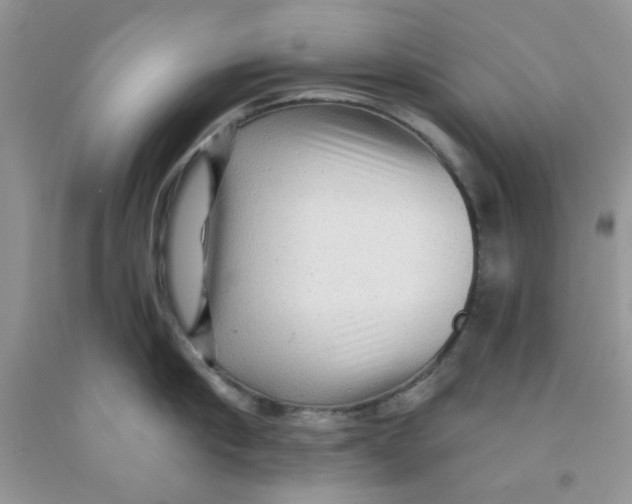 X0000091510910200709141352