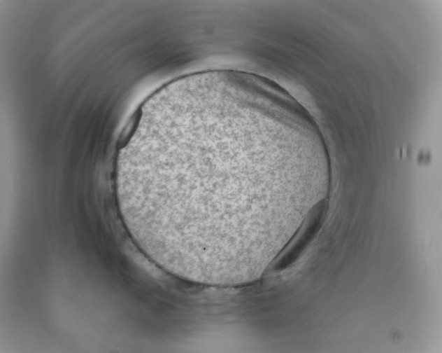 X0000091510912200709141352