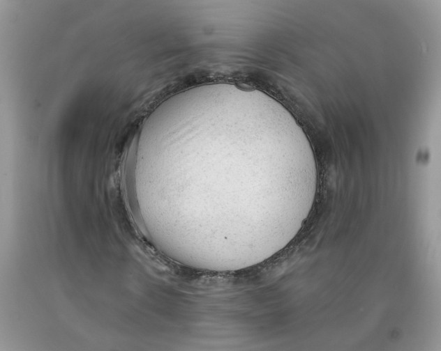 X0000091510914200709141352