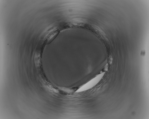 X0000091510915200709141352