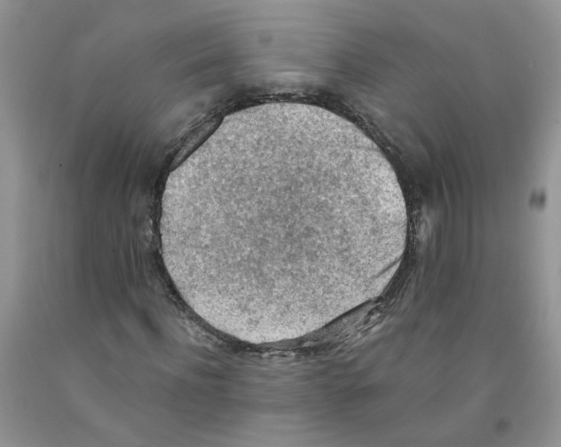 X0000091510916200709141352