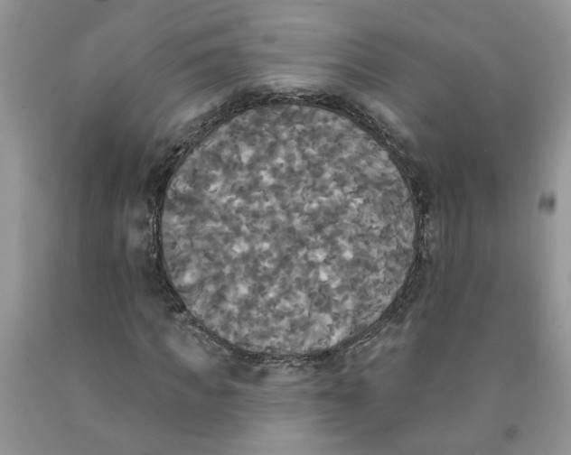 X0000091510917200709141352